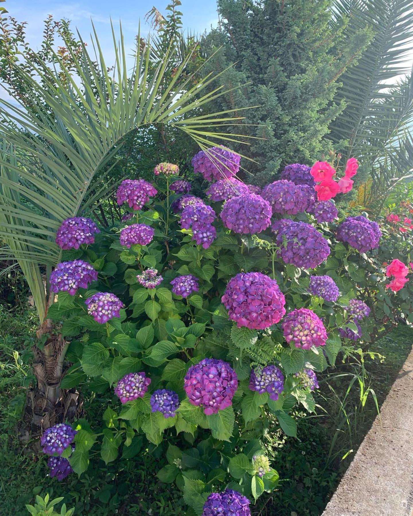 White House Chakvi Otel Dış mekan fotoğraf
