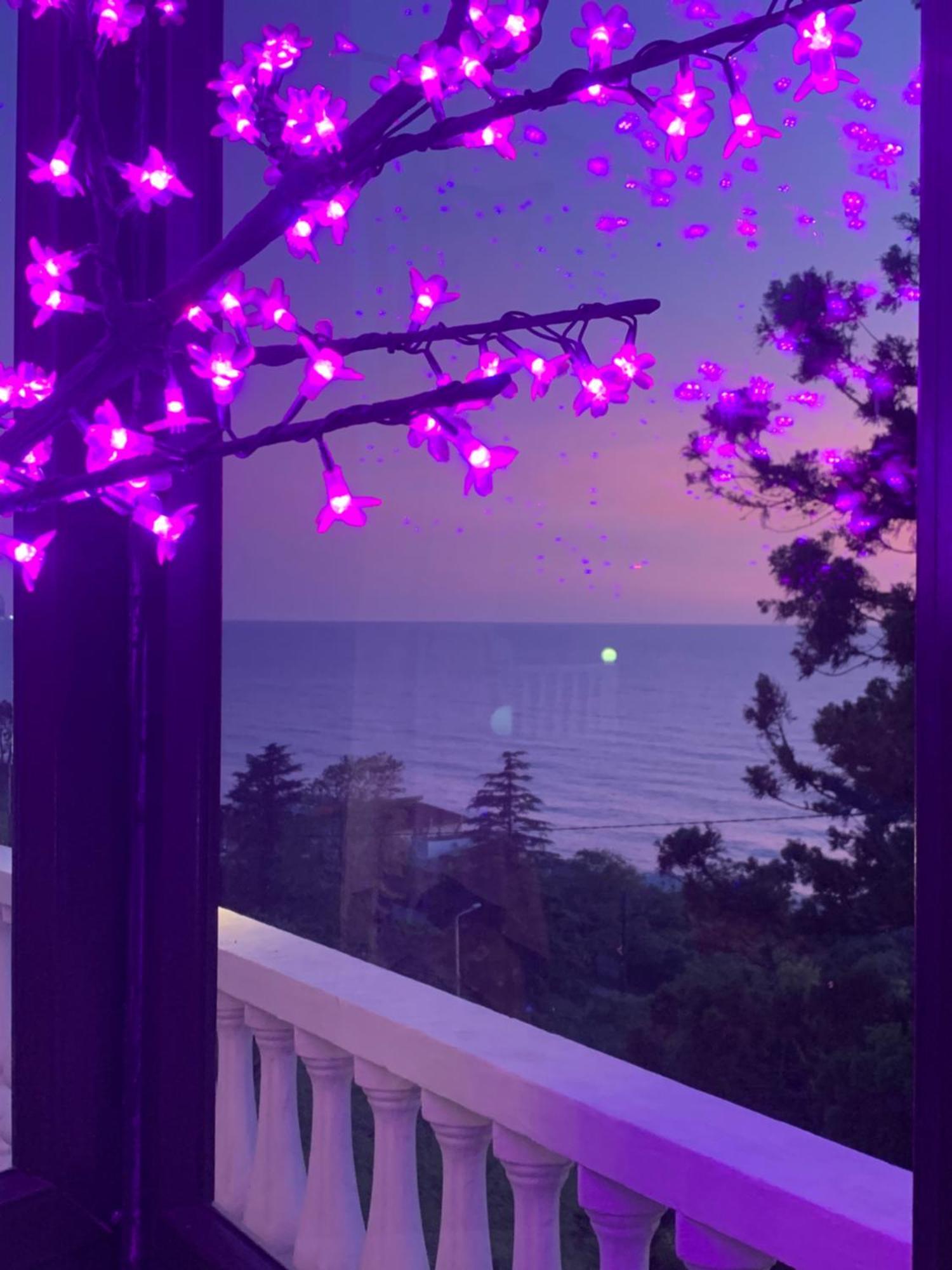 White House Chakvi Otel Dış mekan fotoğraf