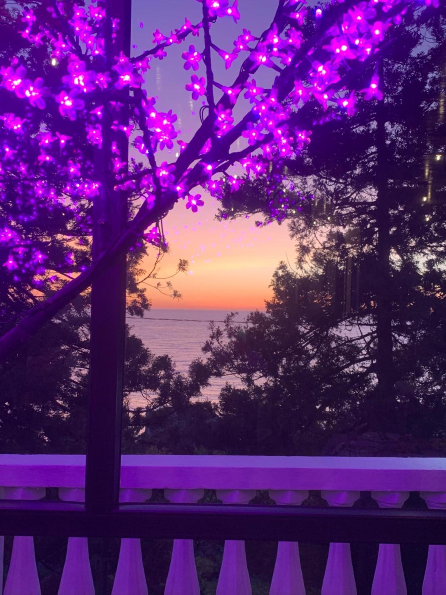 White House Chakvi Otel Dış mekan fotoğraf